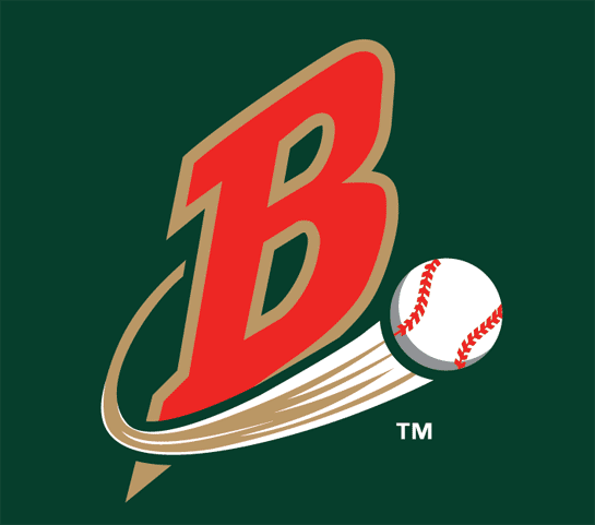 Buffalo Bisons 2004-2008 Cap Logo iron on heat transfer